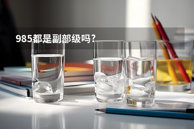 985都是副部级吗?