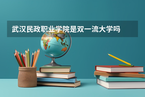 武汉民政职业学院是双一流大学吗