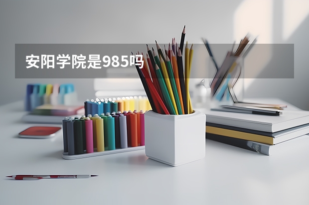 安阳学院是985吗