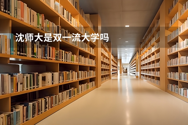 沈师大是双一流大学吗