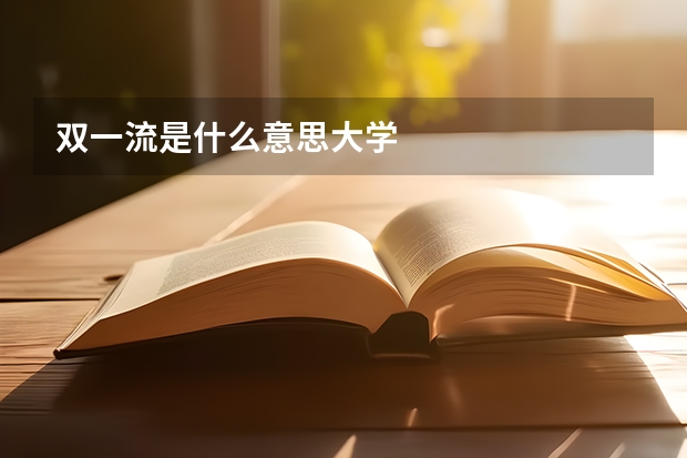 双一流是什么意思大学