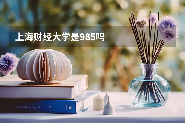 上海财经大学是985吗