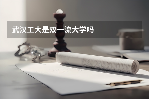 武汉工大是双一流大学吗