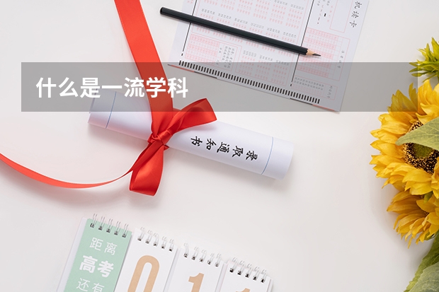 什么是一流学科