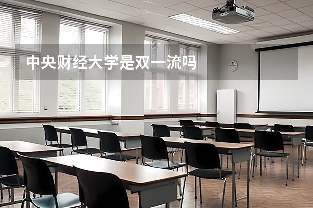 中央财经大学是双一流吗