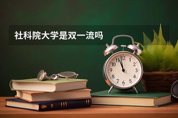 社科院大学是双一流吗