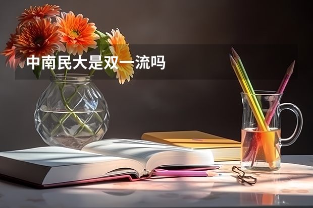 中南民大是双一流吗