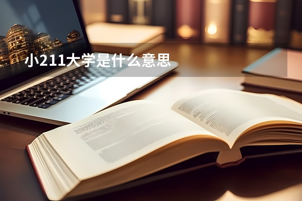 小211大学是什么意思