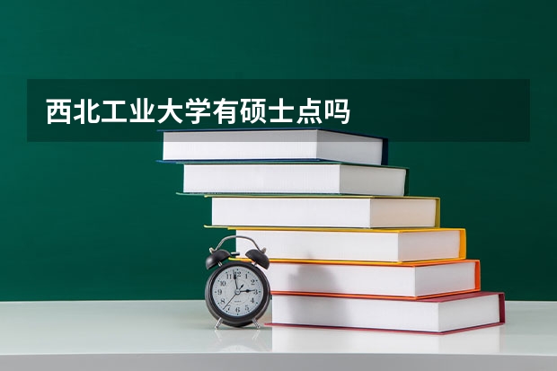 西北工业大学有硕士点吗