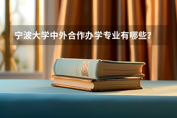 宁波大学中外合作办学专业有哪些？