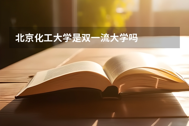 北京化工大学是双一流大学吗