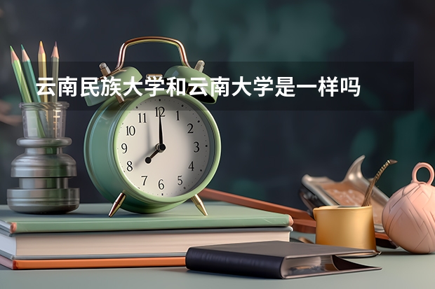 云南民族大学和云南大学是一样吗