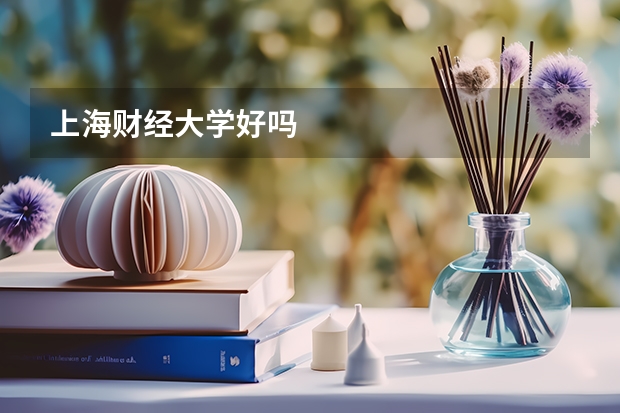 上海财经大学好吗