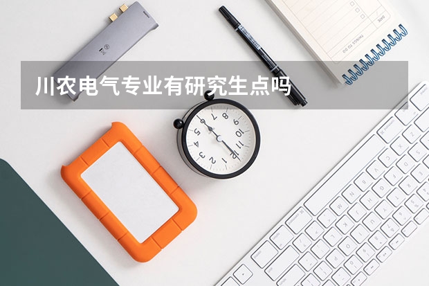 川农电气专业有研究生点吗