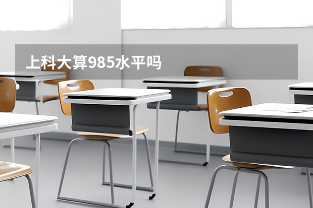 上科大算985水平吗