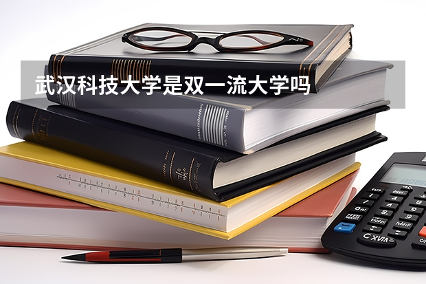 武汉科技大学是双一流大学吗