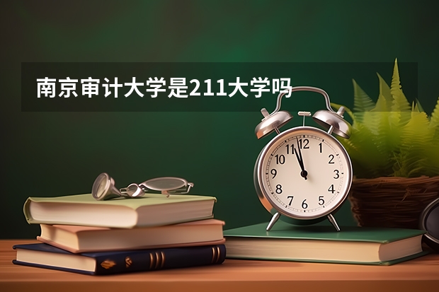 南京审计大学是211大学吗