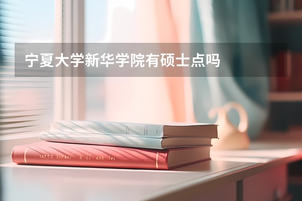 宁夏大学新华学院有硕士点吗