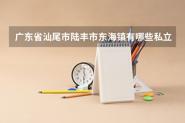 广东省汕尾市陆丰市东海镇有哪些私立中学