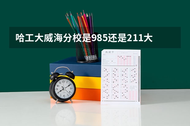 哈工大威海分校是985还是211大学（最好的十所211大学？）