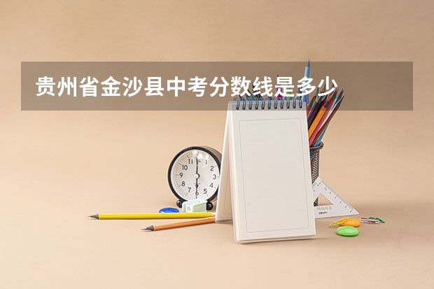 贵州省金沙县中考分数线是多少