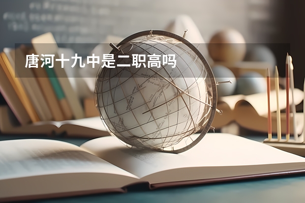 唐河十九中是二职高吗