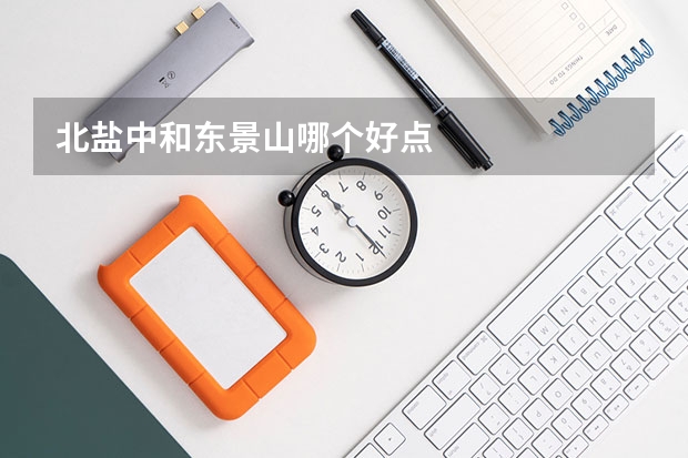 北盐中和东景山哪个好点