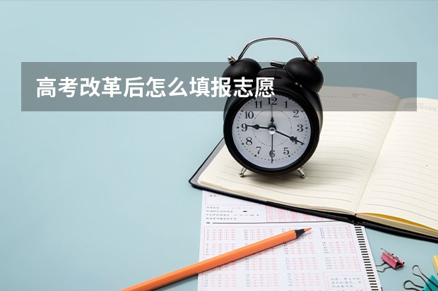 高考改革后怎么填报志愿