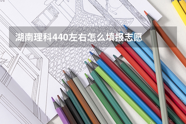 湖南理科440左右怎么填报志愿
