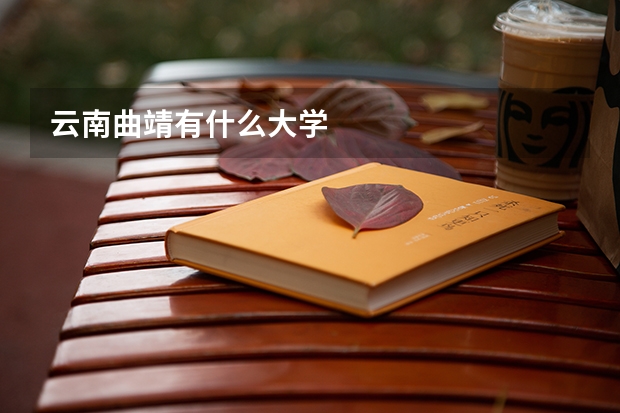云南曲靖有什么大学
