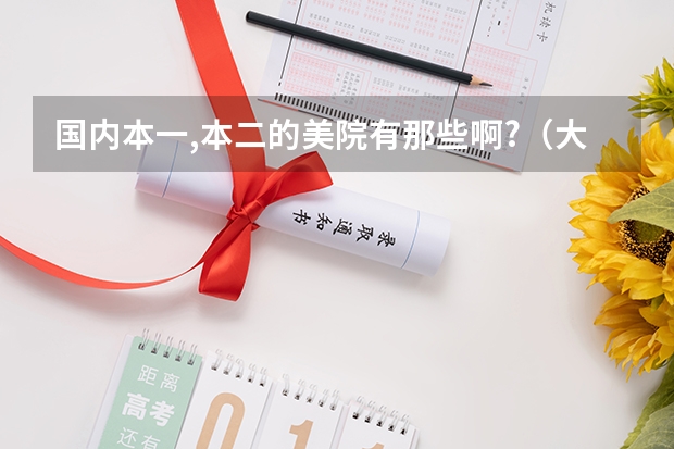 国内本一,本二的美院有那些啊?（大连鲁迅美术学院）