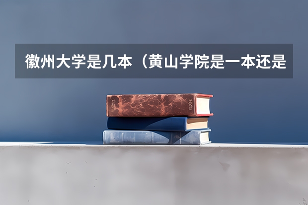 徽州大学是几本（黄山学院是一本还是二本院校）
