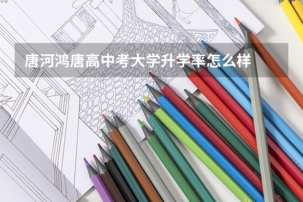 唐河鸿唐高中考大学升学率怎么样