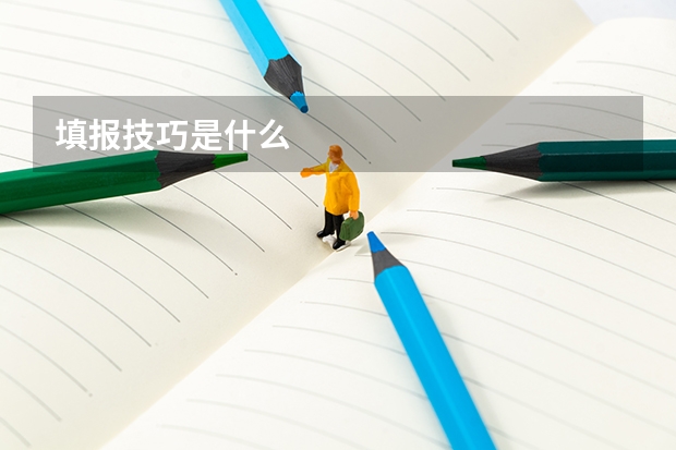 填报技巧是什么