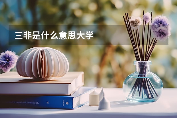 三非是什么意思大学