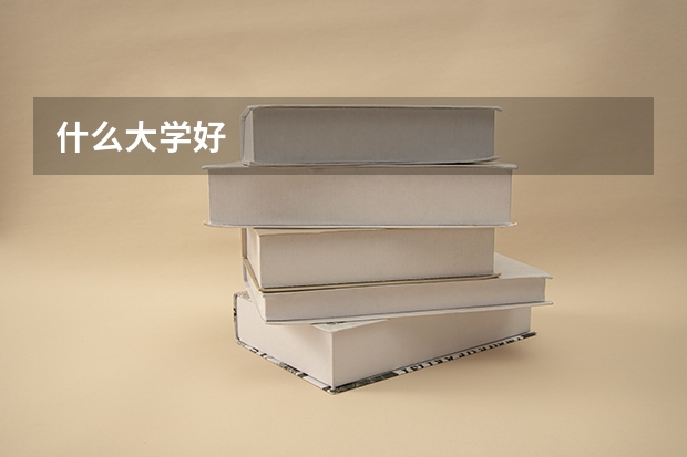 什么大学好