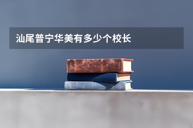 汕尾普宁华美有多少个校长