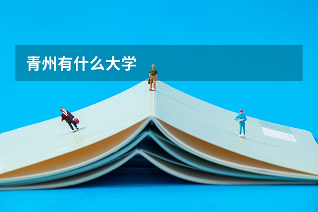 青州有什么大学