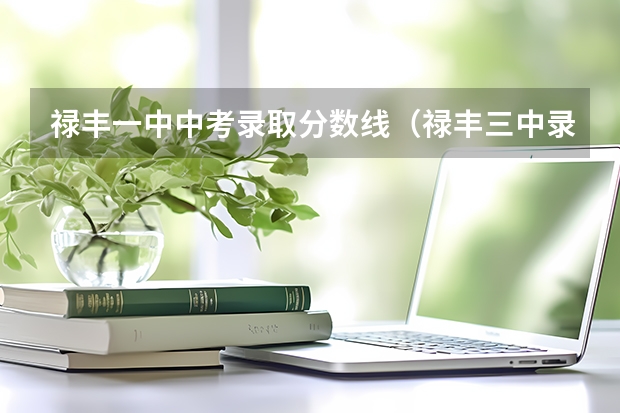禄丰一中中考录取分数线（禄丰三中录取分数线）