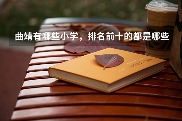 曲靖有哪些小学，排名前十的都是哪些？