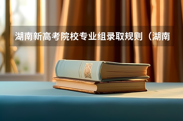 湖南新高考院校专业组录取规则（湖南省高考同分录取规则）