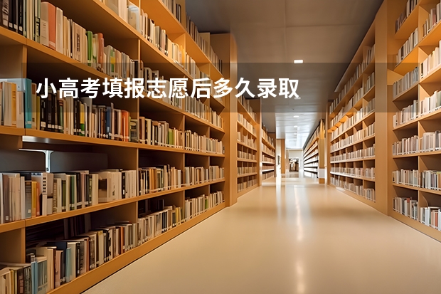 小高考填报志愿后多久录取