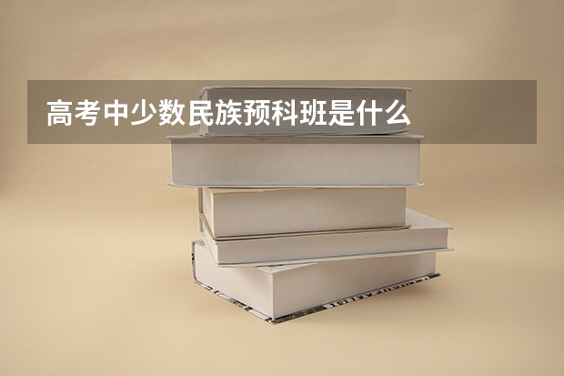 高考中少数民族预科班是什么
