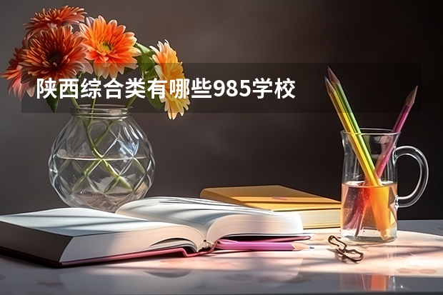 陕西综合类有哪些985学校