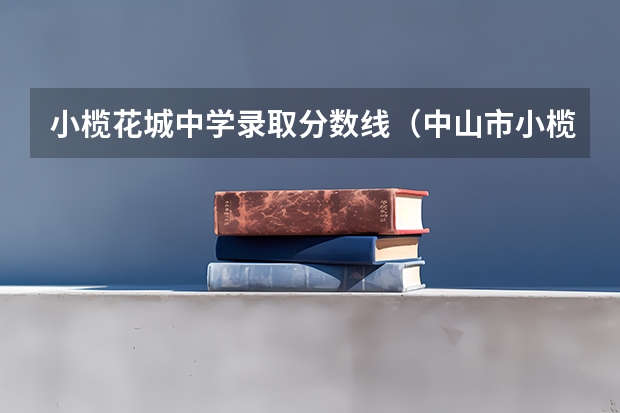 小榄花城中学录取分数线（中山市小榄中学分数线）