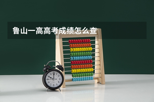 鲁山一高高考成绩怎么查