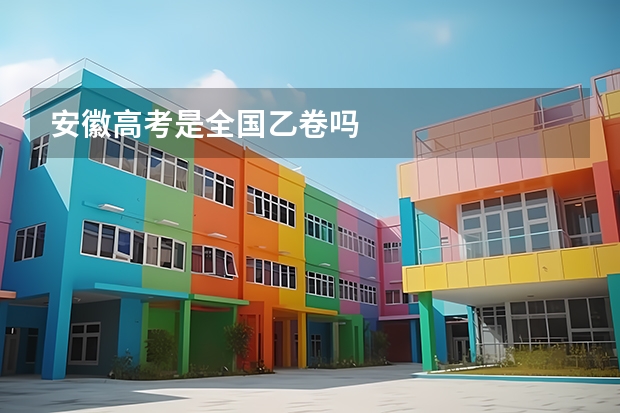 安徽高考是全国乙卷吗