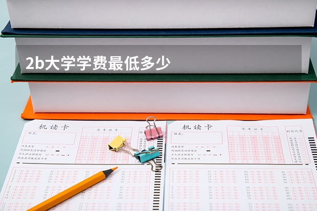 2b大学学费最低多少