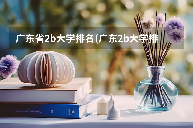 广东省2b大学排名(广东2b大学排行榜)（广东省所有2b大学排名）