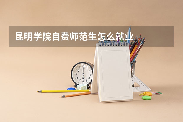 昆明学院自费师范生怎么就业